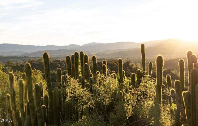Detail Gallery Image 19 of 42 For 1417 Foothill Rd, Ojai,  CA 93023 - 4 Beds | 3 Baths