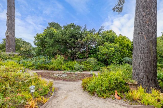 944 Bayview Avenue, Pacific Grove CA: https://media.crmls.org/mediaz/8c346e3c-5050-4bdd-9817-c28fe6eb6041.jpg