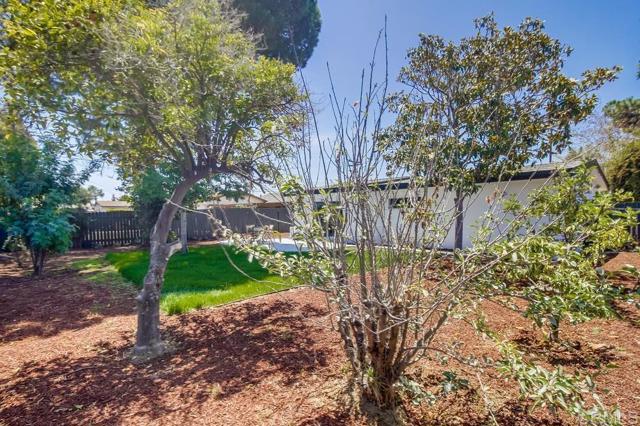 Detail Gallery Image 44 of 49 For 2891 Morningside St, San Diego,  CA 92139 - 3 Beds | 2 Baths