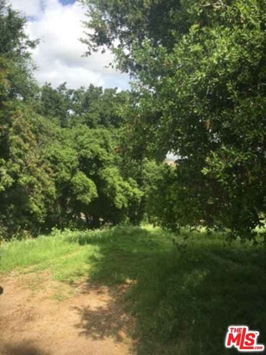0 Aster Trail Rd. photo 4