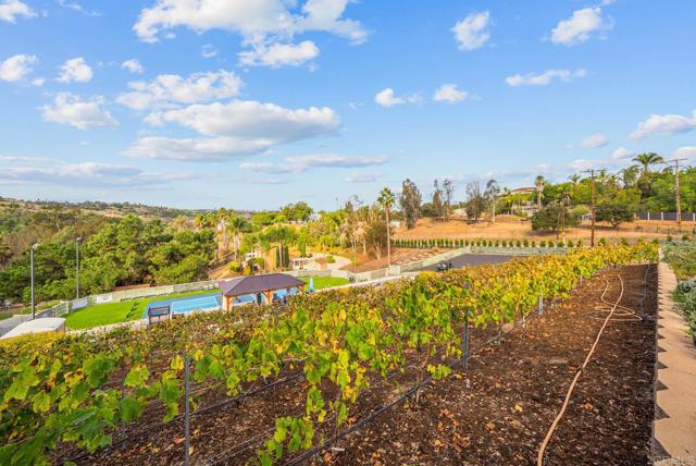 1569 Via Monserate, Fallbrook CA: https://media.crmls.org/mediaz/8c457bd3-bc7b-4e9f-99d8-e33c6dd63322.jpg