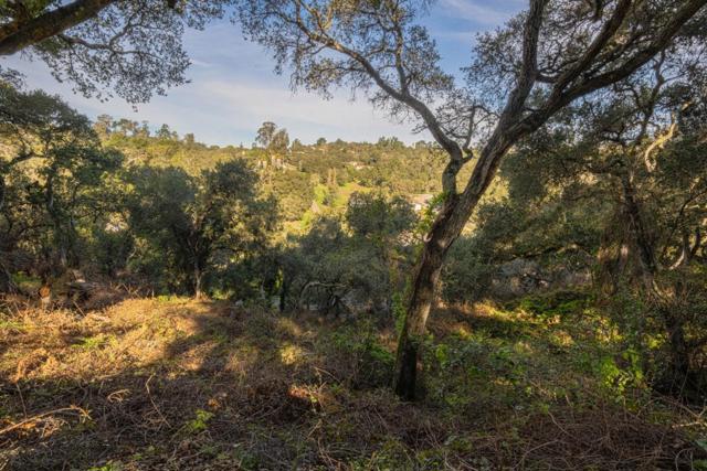 18924 Vierra Canyon Road, Prunedale CA: https://media.crmls.org/mediaz/8c4829ff-6e75-4b05-9c49-d5e04aba958e.jpg