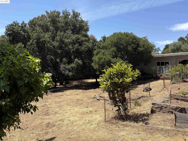 5415 Leona Street, Oakland CA: https://media.crmls.org/mediaz/8c4c4b08-c933-4962-8385-31e20e721bcd.jpg