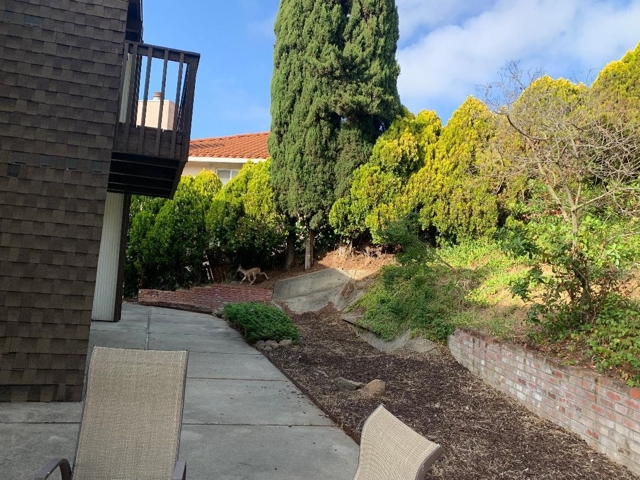 4515 Ewing Rd, Castro Valley CA: https://media.crmls.org/mediaz/8c4e7f46-7ff2-4774-84b1-f1b48ec23a9e.jpg