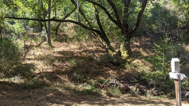 0 ARROYO Way, Los Altos Hills CA: https://media.crmls.org/mediaz/8c502daf-3241-48df-91b7-edb0cff6e386.jpg