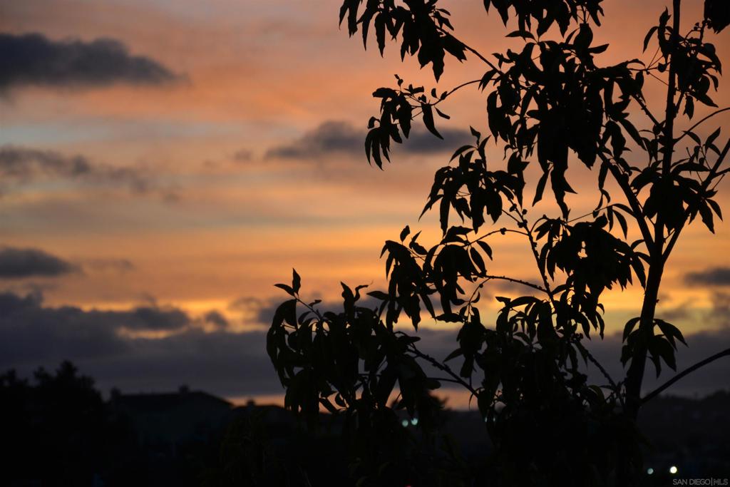 https://media.crmls.org/mediaz/8c542fb9-c664-4f5b-adb7-5a87e90b2d26.jpg?preset=X-Large