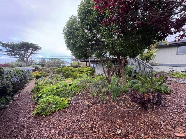 304 12th Street, Montara CA: https://media.crmls.org/mediaz/8c5ce842-6d32-4d1b-aab0-8f86282c3986.jpg