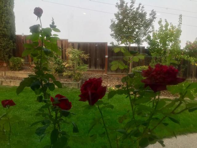 155 Parkhaven Drive, Danville CA: https://media.crmls.org/mediaz/8c5f05d1-014a-42c5-8cdd-906602b10ed3.jpg