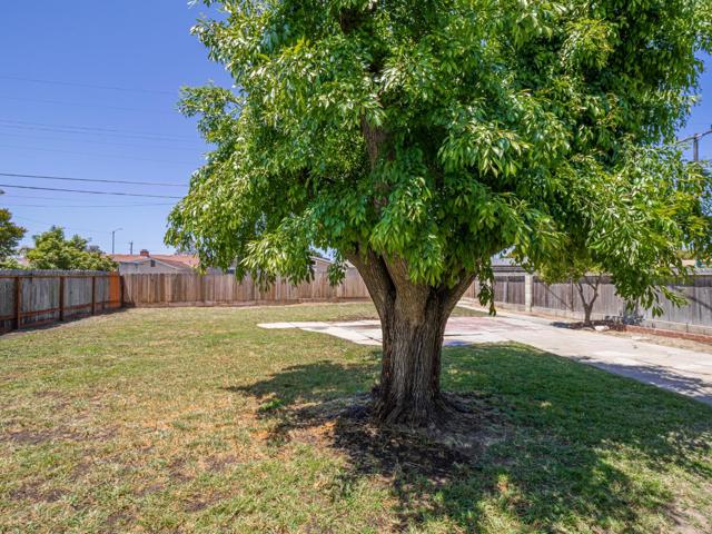 1233 Monroe Street, Salinas CA: https://media.crmls.org/mediaz/8c62a360-bf8c-4b7d-8c7d-7fa1429aa4f3.jpg