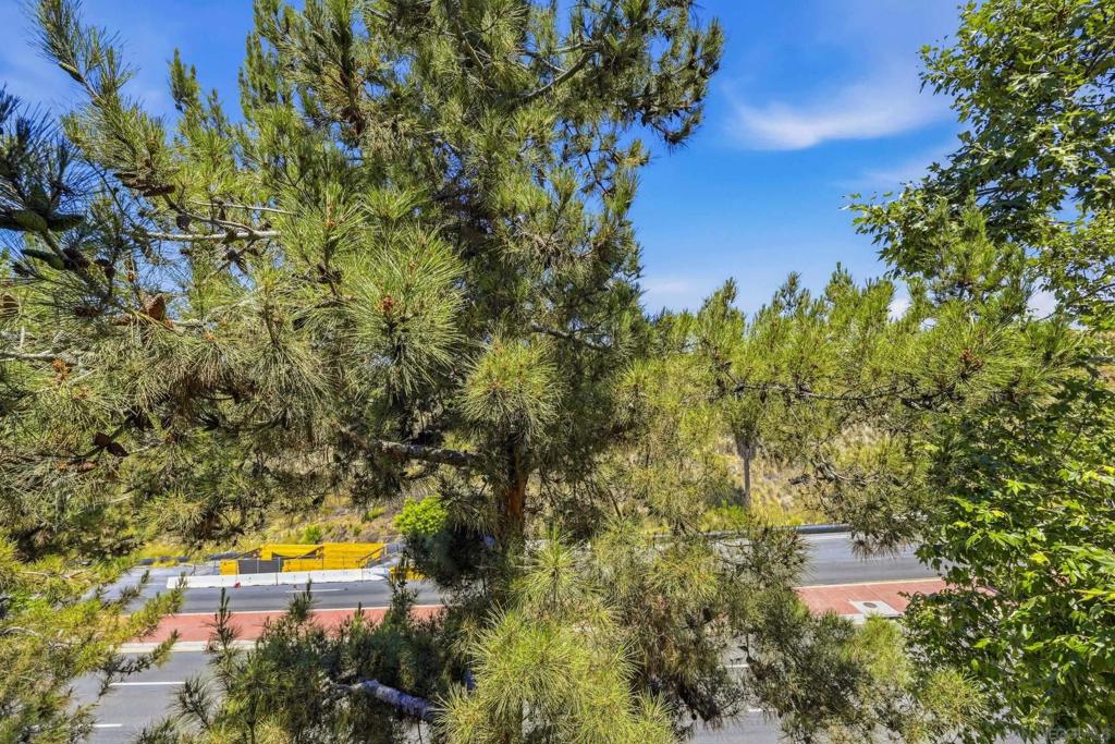 7659 Mission Gorge - photo 16