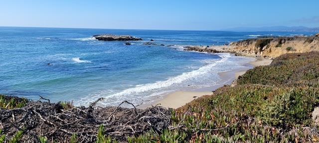 10247 Cabrillo Highway, Pescadero CA: https://media.crmls.org/mediaz/8c7cce5b-26a2-4ca6-bec0-7ed6321c4aed.jpg