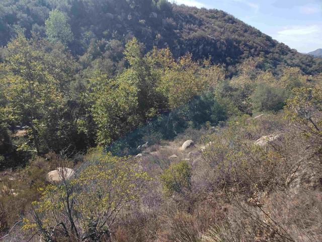 0 Daily, Fallbrook, California 92028, ,Residential Land,For Sale,Daily,NDP2206949