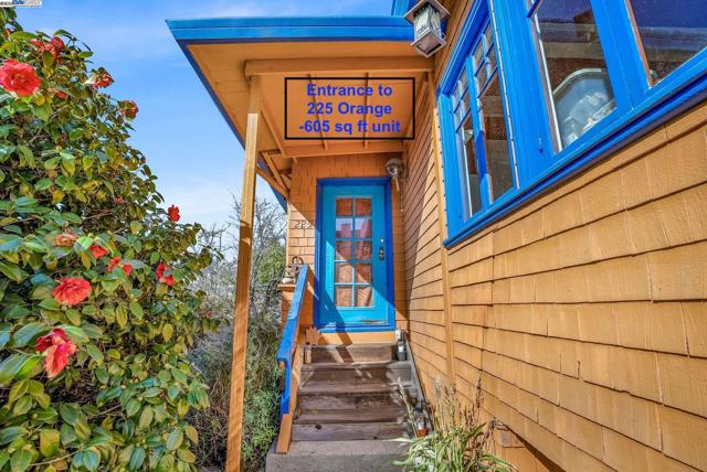 Image 44 of 51 For 227 Orange Street