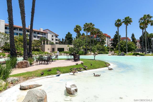 5705 Friars Rd, San Diego CA: https://media.crmls.org/mediaz/8c9a878a-cbc9-4d0f-abb6-aebc0088c330.jpg