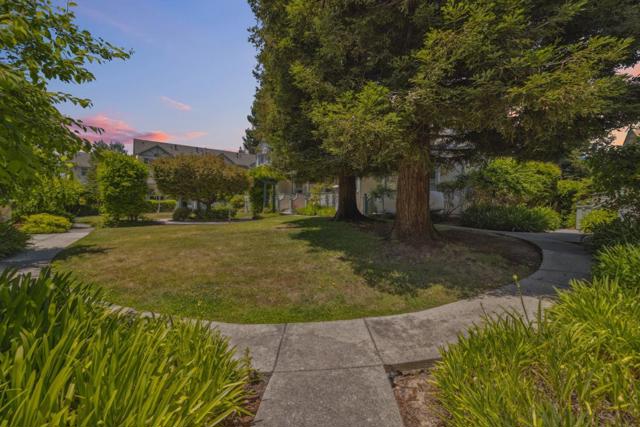 113 Claremont Terrace, Santa Cruz CA: https://media.crmls.org/mediaz/8ca8a278-3f4d-4c5b-9af4-7790ee6c282d.jpg