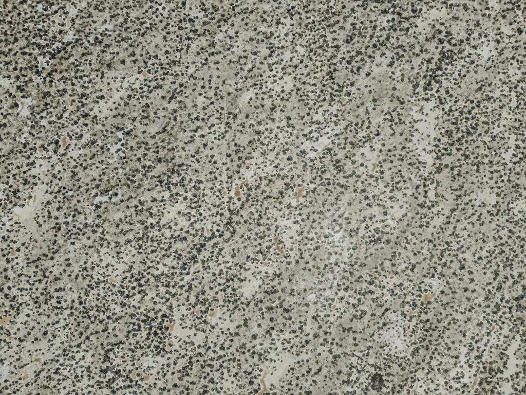 MLS #ML82024761 image #16