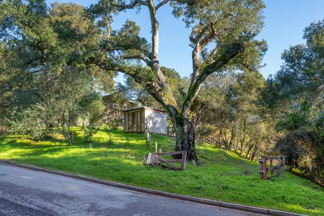 112 JANE Drive, Woodside CA: https://media.crmls.org/mediaz/8caca7d1-593c-458b-baa5-f5e7955fb8ad.jpg