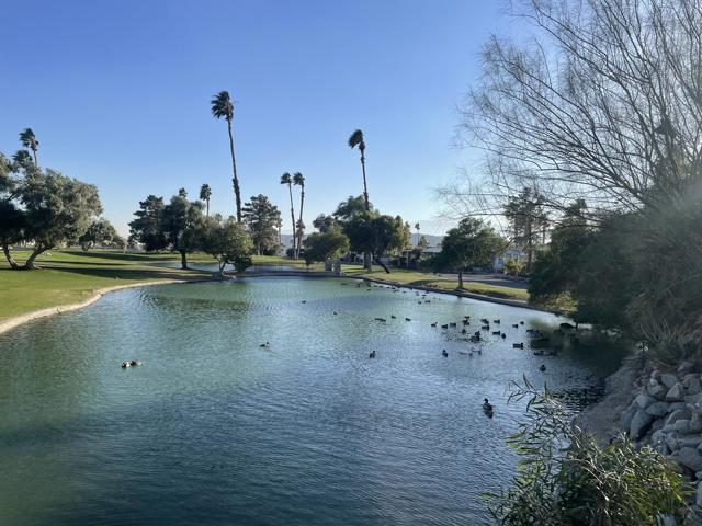 74711 Dillon Road, Desert Hot Springs CA: https://media.crmls.org/mediaz/8cb80fed-2c3a-4406-83fc-4179a9ca8e12.jpg
