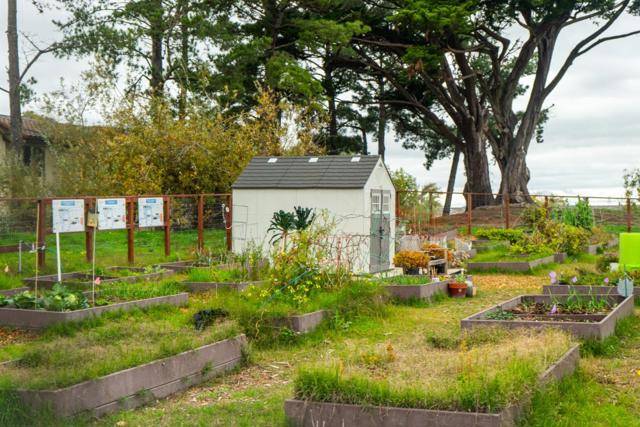 15 Mullins Court, Millbrae CA: https://media.crmls.org/mediaz/8cbdfddc-7dce-460c-8653-63958ff31386.jpg