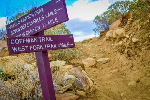 MLS #219141476PS image #48