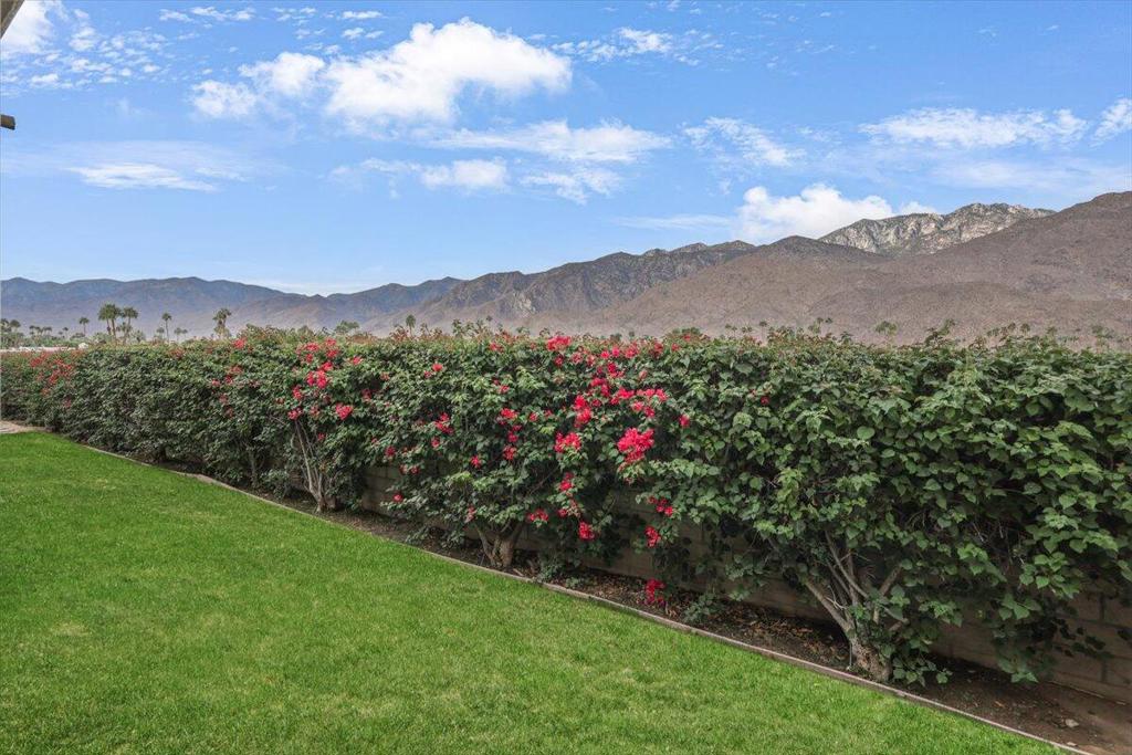1655 E Palm Canyon Drive #307