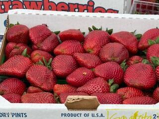 Detail Gallery Image 52 of 65 For 2113 Doral Ct, Oxnard,  CA 93036 - 4 Beds | 3/1 Baths