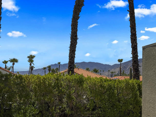 1351 Sunflower S S Circle, Palm Springs CA: https://media.crmls.org/mediaz/8cdd02f2-68c9-4501-bf6f-28b2eabc2335.jpg