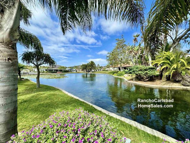 3439 Don Lorenzo Drive, Carlsbad CA: https://media.crmls.org/mediaz/8ce9942e-0c77-4cc5-a8e1-100b4690df34.jpg