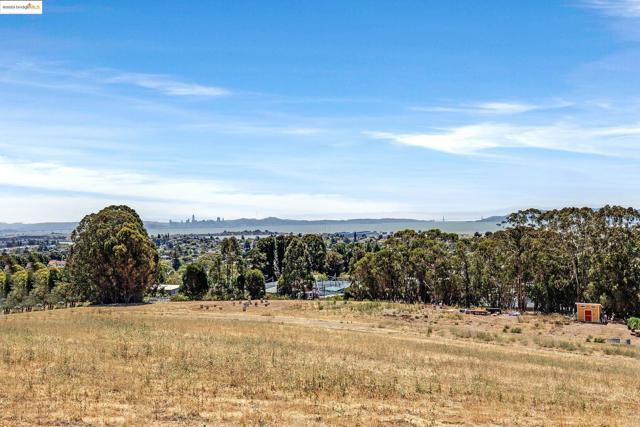 1034 Navellier St, El Cerrito CA: https://media.crmls.org/mediaz/8cf498e5-4b76-49f6-8a2f-9c7056736b31.jpg