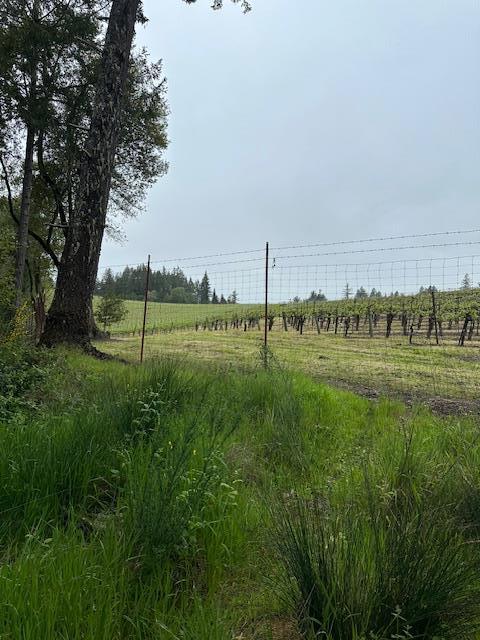 Image 6 of 11 For 11930 Graton Road