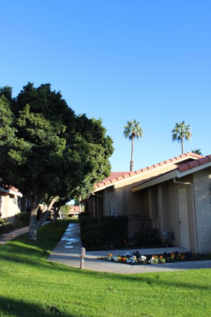 55 Camisa Lane, Palm Desert CA: https://media.crmls.org/mediaz/8cf5bb4a-ea6b-407e-aa08-8e3be2143639.jpg