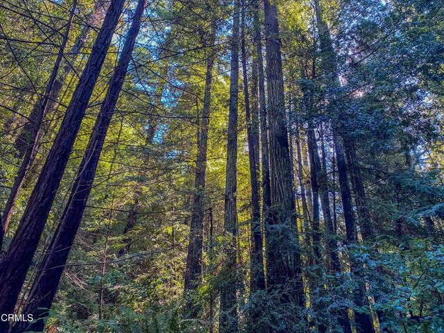 0 Irmulco Road, Willits CA: https://media.crmls.org/mediaz/8cf9dcd6-6bad-4b65-ba1a-265523eb4d12.jpg