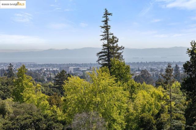 99 Lexford Rd, Piedmont CA: https://media.crmls.org/mediaz/8d191e32-058e-4c9b-996a-de245d919c0a.jpg