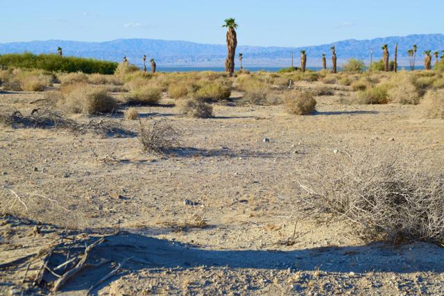 2833 Beachcomber Avenue, Thermal CA: https://media.crmls.org/mediaz/8d1977cc-6b67-4066-973b-344fcd389b29.jpg