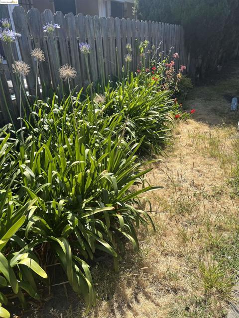 Image 8 of 9 For 2933 Filbert