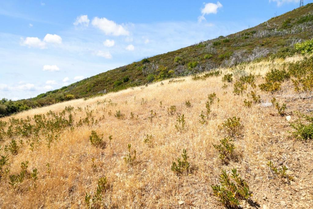 MLS #ML82020952 image #33