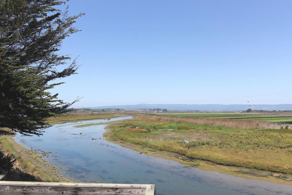 MLS #ML82009770 image #24