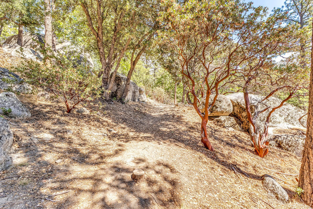 https://media.crmls.org/mediaz/8d4f761f-7be6-4a8f-bc1a-b29007e14da0.jpg?preset=X-Large