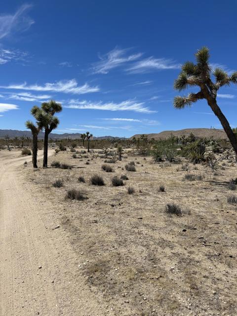 0 Sun Oro Road Road, Yucca Valley CA: https://media.crmls.org/mediaz/8d50b795-f263-4c4b-93c5-b3d15e106dba.jpg