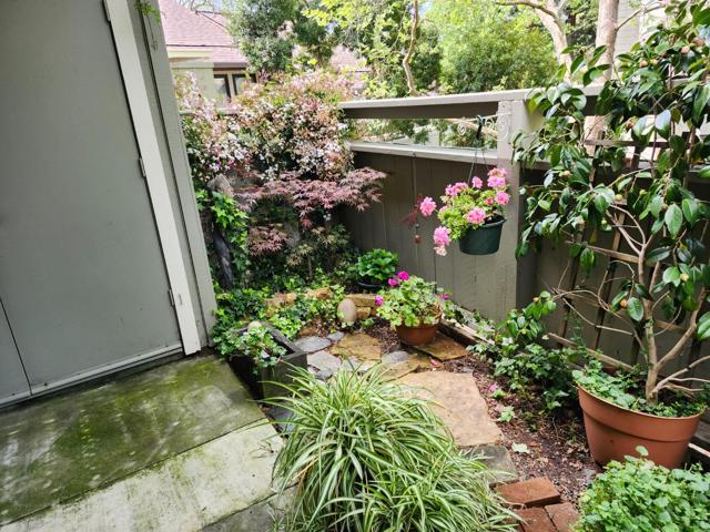 111 Bean Creek Road, Scotts Valley CA: https://media.crmls.org/mediaz/8d55d039-360e-4bce-81db-0907818e840c.jpg