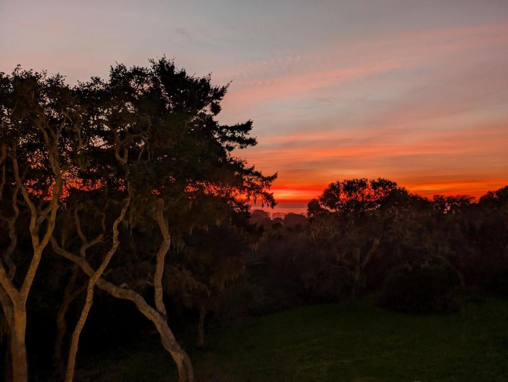 https://media.crmls.org/mediaz/8d5a1b35-a886-4458-81ef-5efc6a0ddfe7.jpg?preset=X-Large