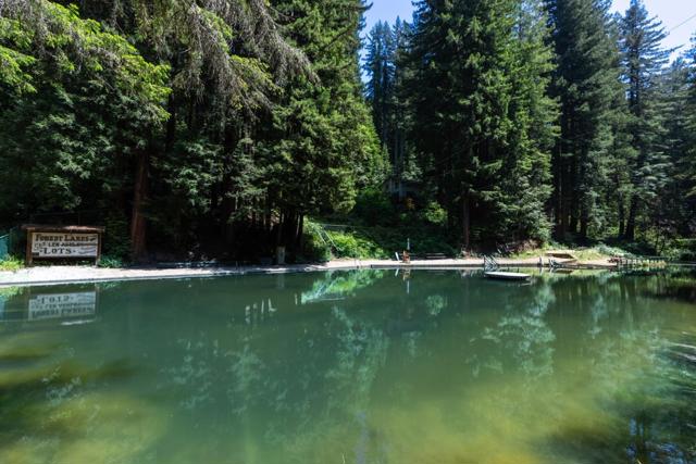 1151 Lakeside Drive, Felton CA: https://media.crmls.org/mediaz/8d607d3c-33ba-4889-ab80-4cf372c189b2.jpg
