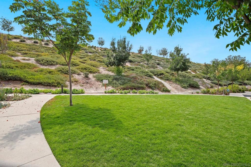 MLS #250043003SD image #35