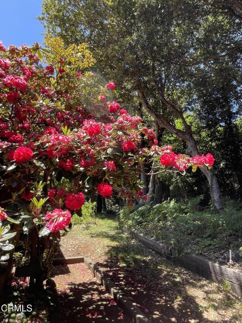 32691 Pearl Drive, Fort Bragg CA: https://media.crmls.org/mediaz/8d667821-2e67-43b4-8bbe-b9210262073d.jpg