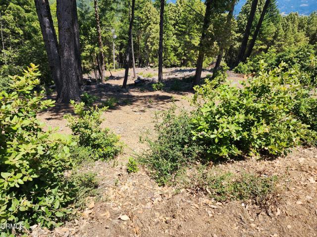 4350 Cahto Peak Road, Laytonville CA: https://media.crmls.org/mediaz/8d6ae5cb-0613-419d-9b02-5de69ffec76c.jpg