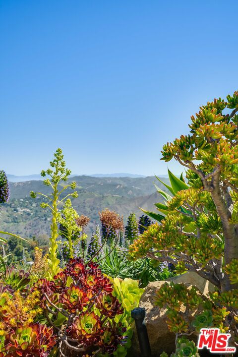 2303 Tuna Canyon Road, Topanga CA: https://media.crmls.org/mediaz/8d705d8b-5f99-45ff-b826-e9e8f23bab7d.jpg
