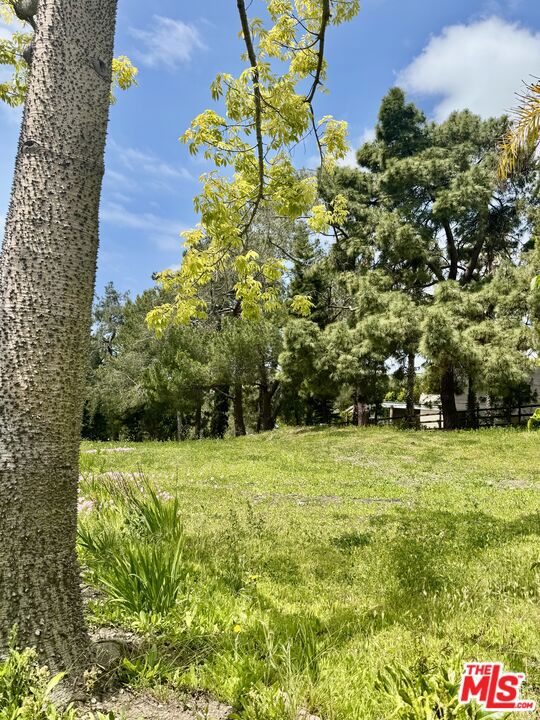 Drew Fenton | 27555 Pacific Coast Highway Malibu CA | MLS: 7292558