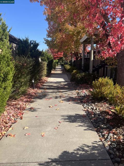 2101 Golden Rain, Walnut Creek CA: https://media.crmls.org/mediaz/8d72f8b0-31a6-4bef-94f5-1411bd623f33.jpg