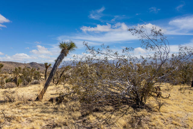 5610 Yucca Mesa Road, Yucca Valley CA: https://media.crmls.org/mediaz/8d77b925-a41f-4db1-8b5f-4af64c91c6be.jpg