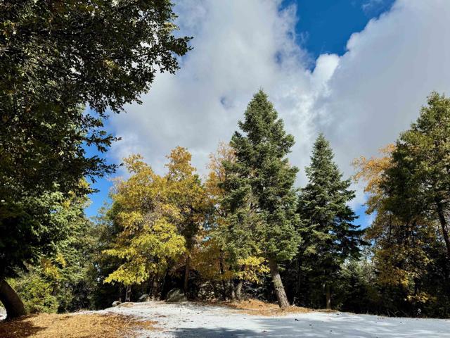 Detail Gallery Image 3 of 47 For 10 Acres Greenfield Way, Palomar Mountain,  CA 92060 - – Beds | – Baths